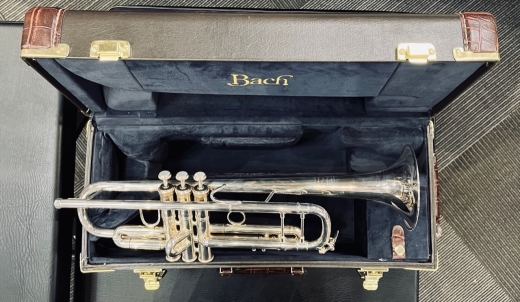 Store Special Product - Bach - 180S-72