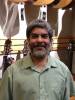 Ray Chatterjee - Guitar, Bass music lessons in Windsor