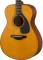 FS5 60's All Solid Spruce/Mahogany Acoustic Guitar