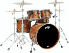Pacific Drums - Concept Exotic 5-Piece Shell Pack (22,10,12,16,SD) - Honey Mahogany