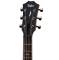 GT 811 Rosewood/Spruce Acoustic Guitar w/Case
