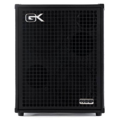 NEO IV 2x10'' Bass Cabinet - 500 watts, 8 ohm