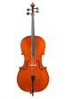 Eastman Strings - Ivan Dunov Prelude VC140 Cello Outfit - 1/2