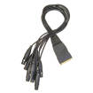 Planet Waves - Modular Snake System Breakout Cables - 8 Female Male