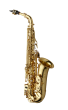 Yanagisawa - Alto Saxophone  WO Series - Elite Model Brass - Gold-Lacquer Finish