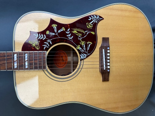 Store Special Product - Gibson - ACOHBANGH