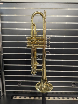 Store Special Product - Bach - TR300H2