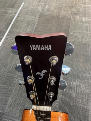 Store Special Product - Yamaha - FG800