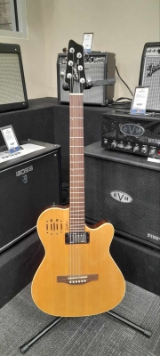 Store Special Product - Godin Guitars - G30293