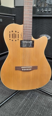Store Special Product - Godin Guitars - G30293