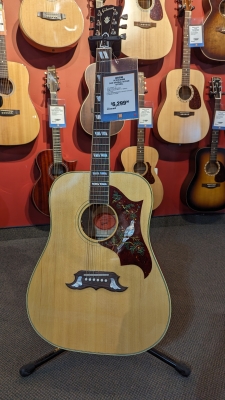 Store Special Product - Gibson - ACODOANNH