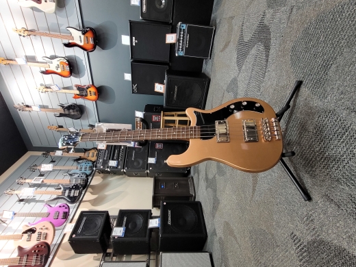 Store Special Product - Epiphone - Embassy Bass