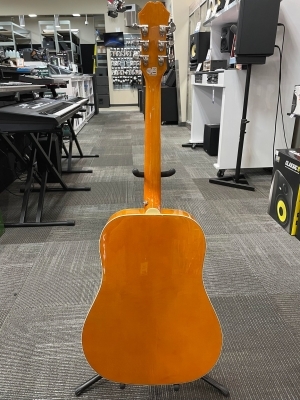Store Special Product - Epiphone - EEDVVBNH