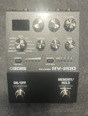 Store Special Product - BOSS - RV-200