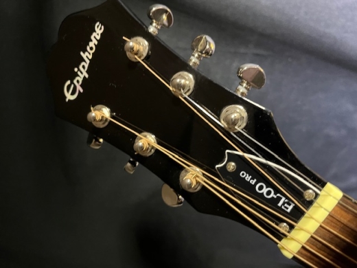 Store Special Product - Epiphone - EEL0VSNH