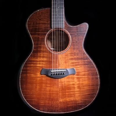 Store Special Product - Taylor Guitars Builder\