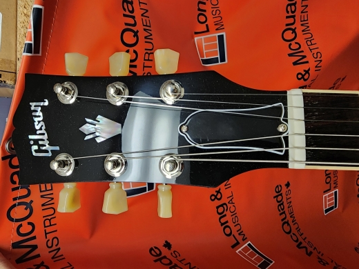 Store Special Product - Gibson - ES35F00SCNH