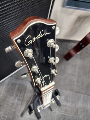 Store Special Product - Godin Guitars - G48472