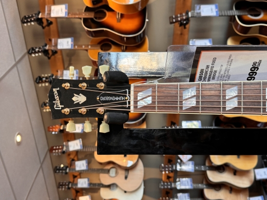 Store Special Product - Gibson - ACHB60HCNH