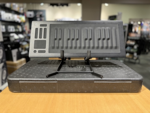 Store Special Product - Roli - RISE 25