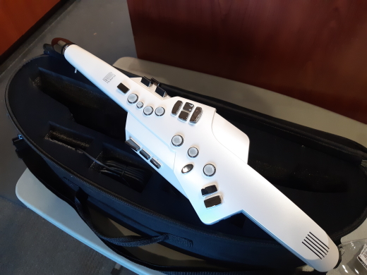 Store Special Product - Roland - AE-10 Aerophone