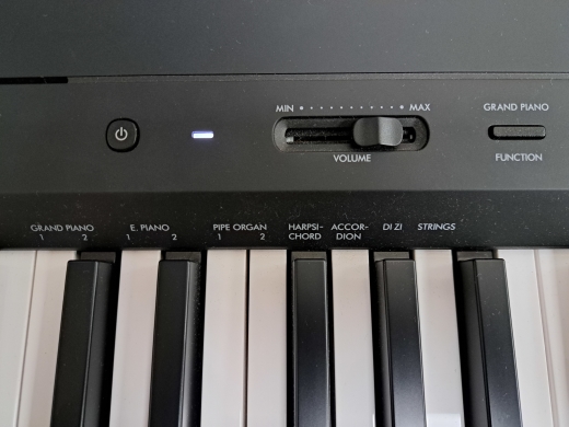 Store Special Product - Yamaha - P145 B