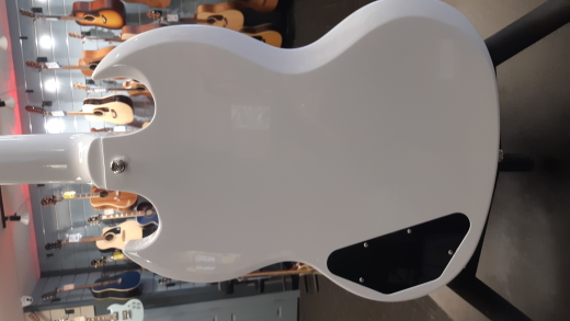 Store Special Product - EPI SG STANDARD - ALPINE WHITE