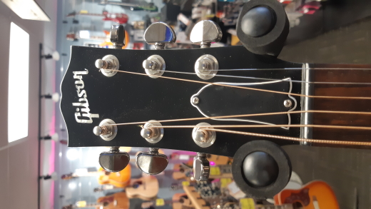 Store Special Product - Gibson - AC4519VSNH