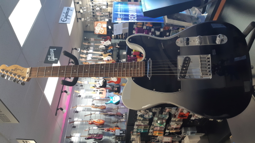 Store Special Product - Fender Player Plus Telecaster, Pau Ferro Fingerboard - Silver Smoke