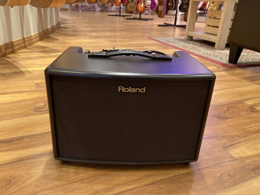 Store Special Product - Roland - AC-60
