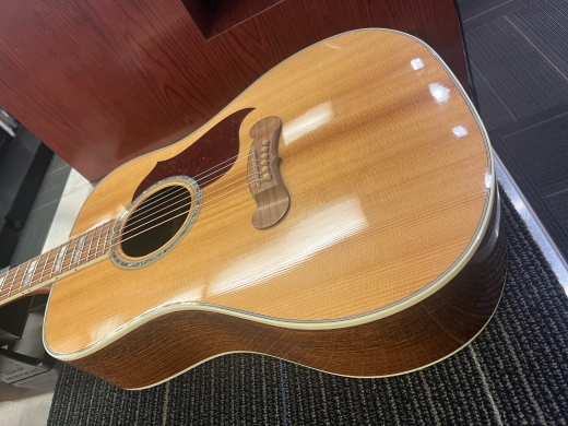 Store Special Product - Gibson Songwriter