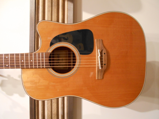 Store Special Product - Takamine - P1DC