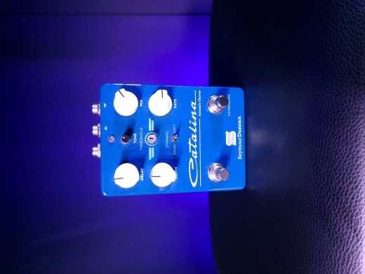 Store Special Product - Seymour Duncan - 11900-008