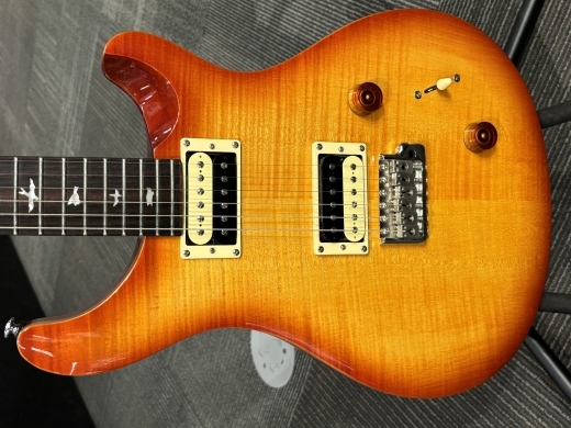 Store Special Product - PRS SE Custom 22