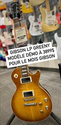 Store Special Product - GIBSON LES PAUL STANDARD GREENY