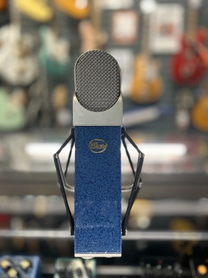 Store Special Product - Blue Microphones - BLUEBERRY