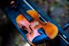 Fiddle Ensemble Loren Vidri lessons in Brampton