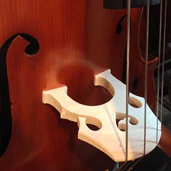 Orchestral Strings Orchestral Strings