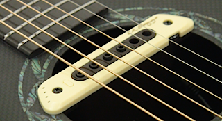 L.R. Baggs M80 Soundhole Pickup